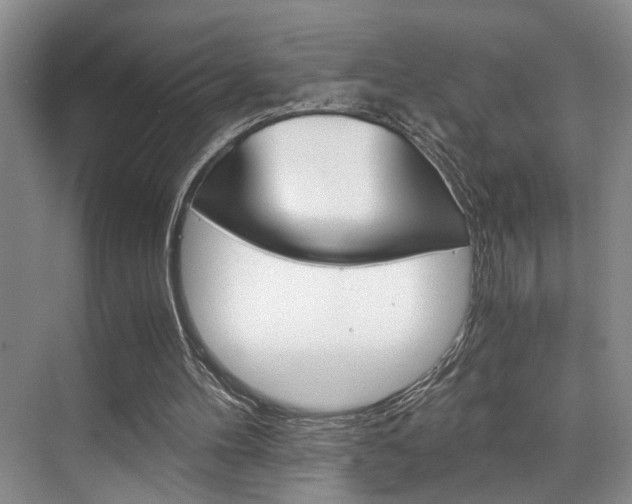 X0000075920100200609151114