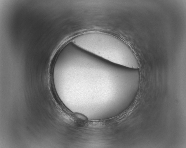 X0000075920102200609151114