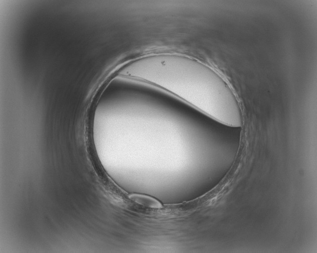 X0000075920103200609151114