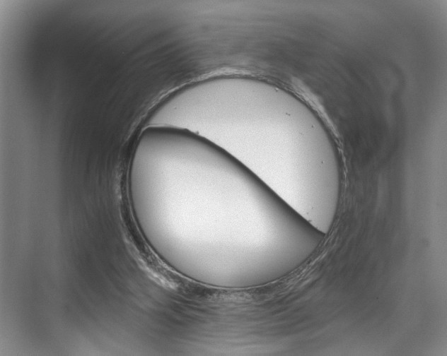 X0000075920106200609151114