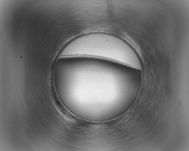 X0000075920107200609151114