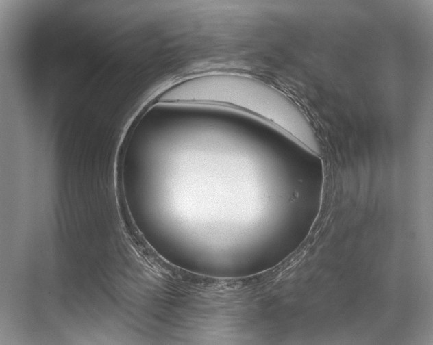 X0000075920148200609151113