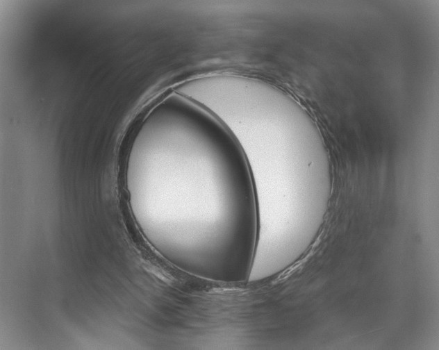 X0000075920150200609151113