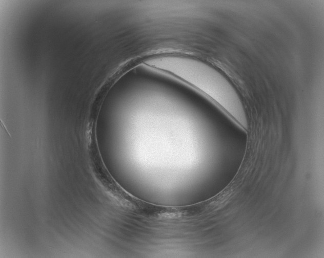 X0000075920160200609151113