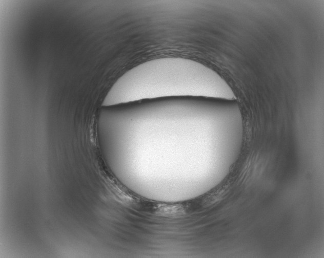 X0000075920185200609151113