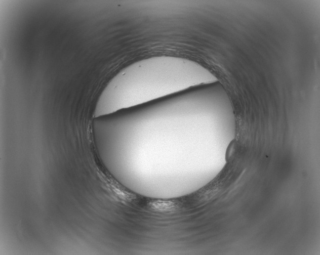 X0000075920189200609151113