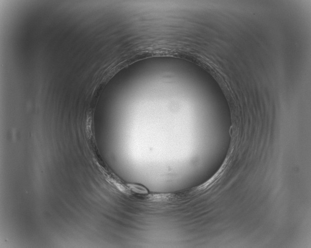 X0000075920192200609151113