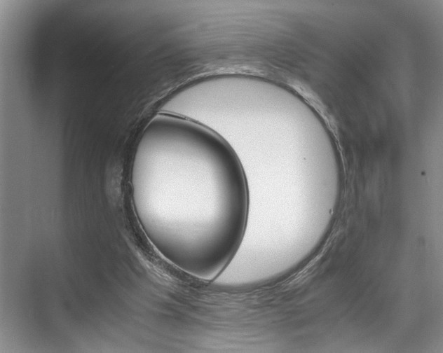 X0000075920201200609151112