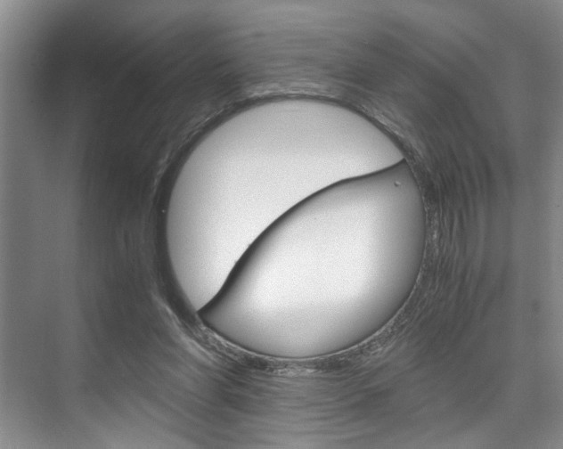 X0000075920206200609151112