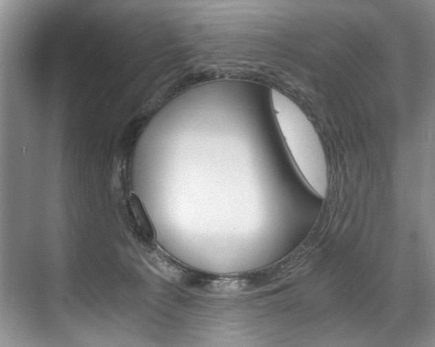 X0000075920225200609151112
