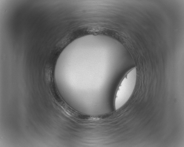 X0000075920227200609151112