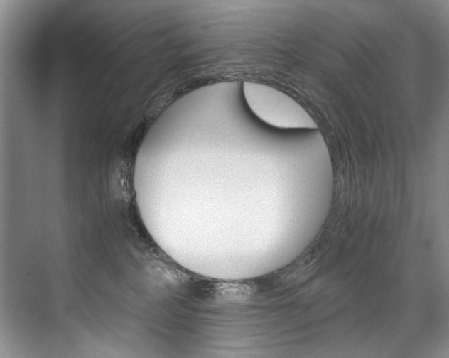 X0000075920234200609151112