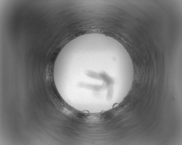 X0000075920236200609151112