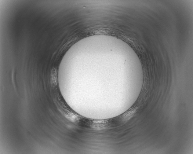 X0000075920240200609151112