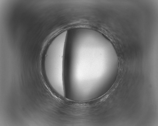 X0000075920245200609151111