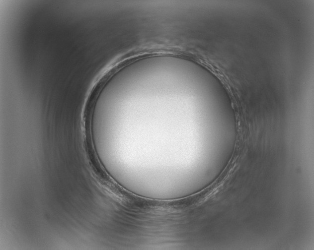 X0000075920246200609151111