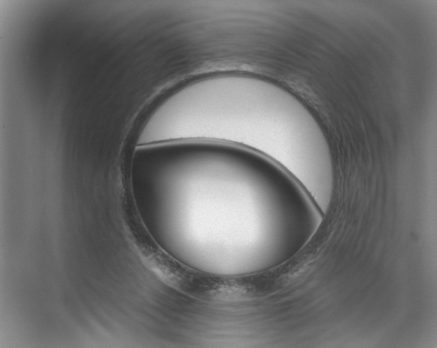 X0000075920256200609151111