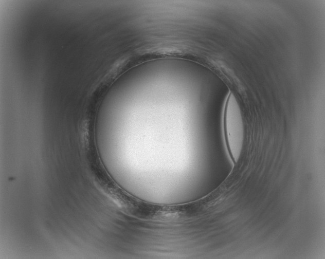 X0000075920260200609151111