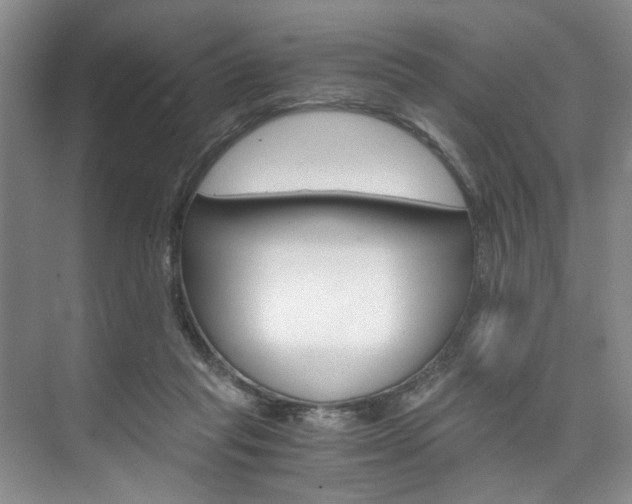 X0000075920261200609151111