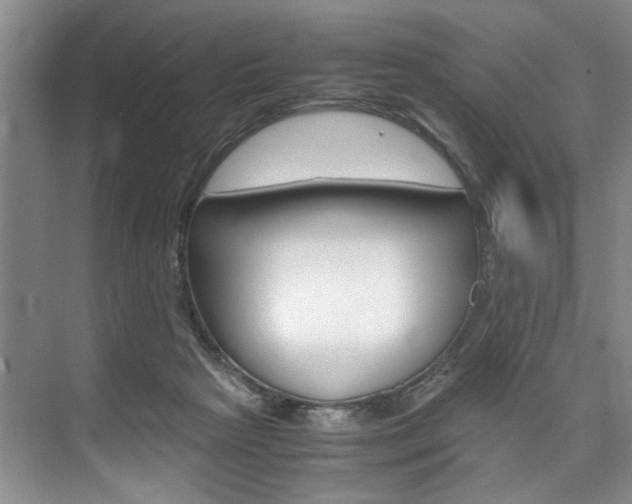 X0000075920265200609151111