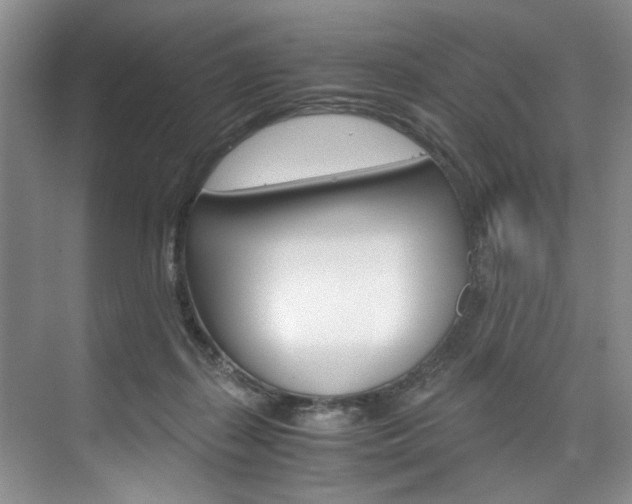 X0000075920267200609151111