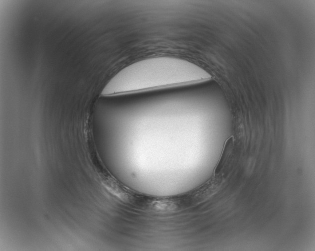 X0000075920275200609151112