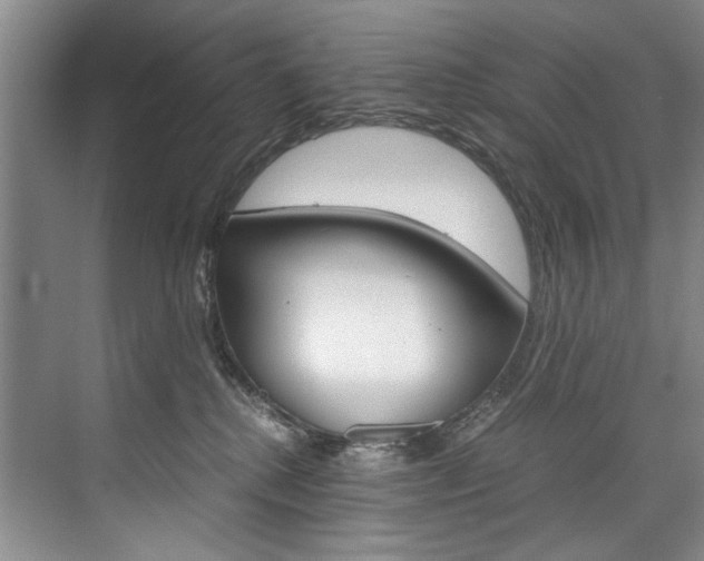 X0000075920280200609151112