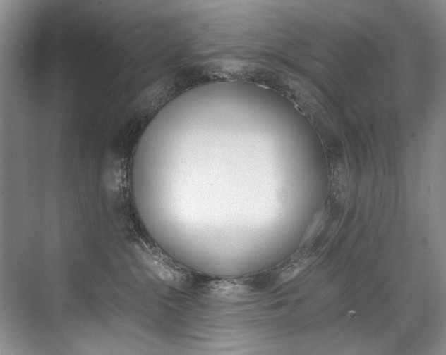 X0000075920284200609151112