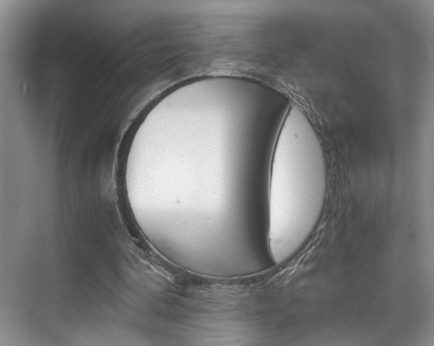 X0000075920292200609151111