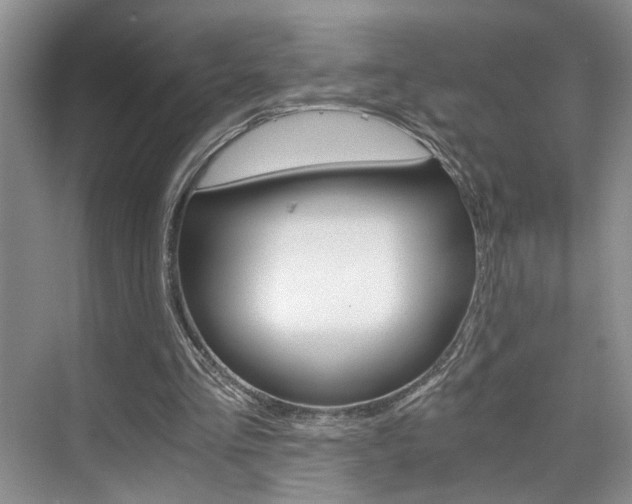X0000075920293200609151111