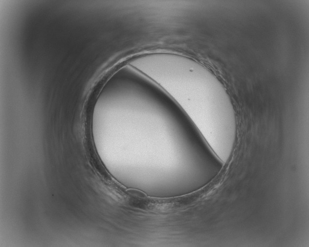 X0000075920295200609151111