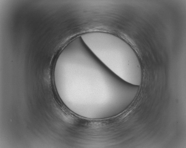 X0000075920298200609151111