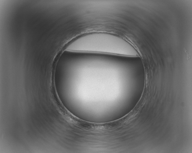 X0000075920301200609151111