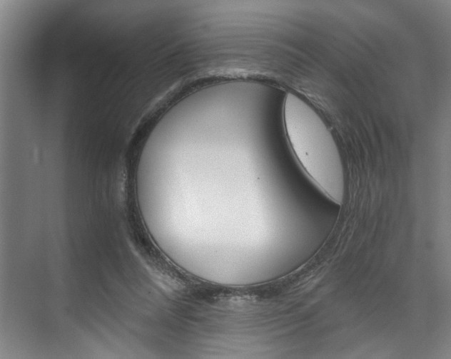 X0000075920304200609151111