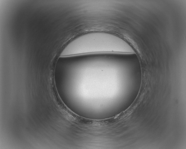 X0000075920305200609151111