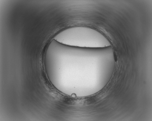 X0000075920306200609151111