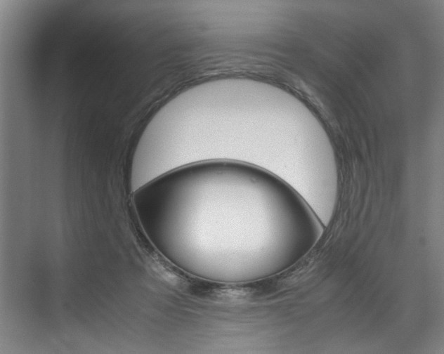 X0000075920313200609151111