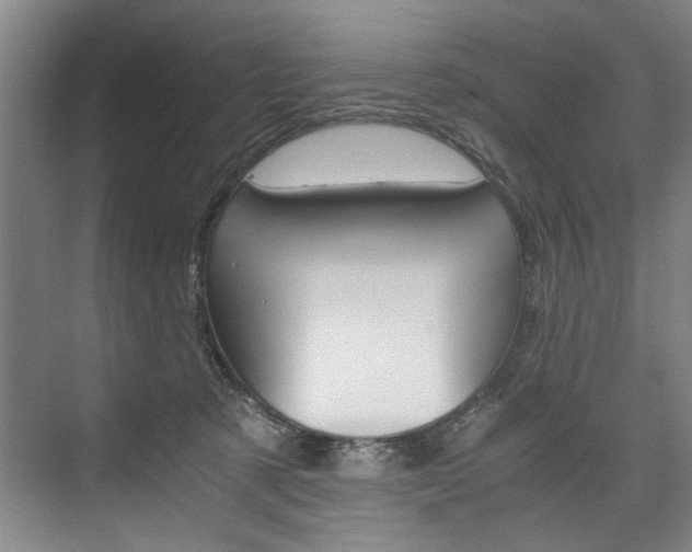 X0000075920321200609151110