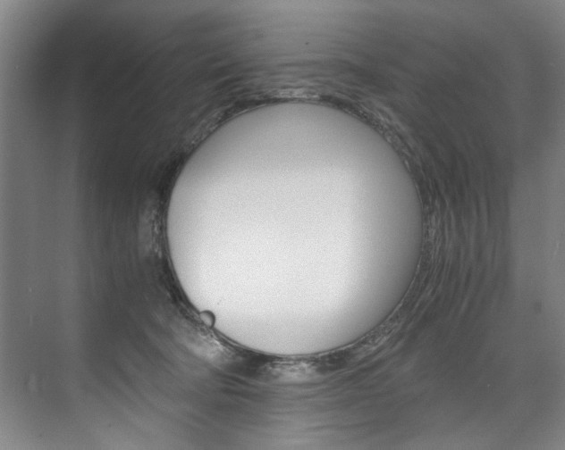 X0000075920322200609151110