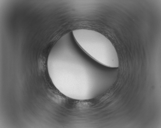 X0000075920332200609151110
