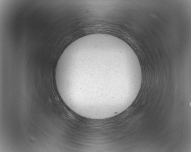 X0000075920333200609151110
