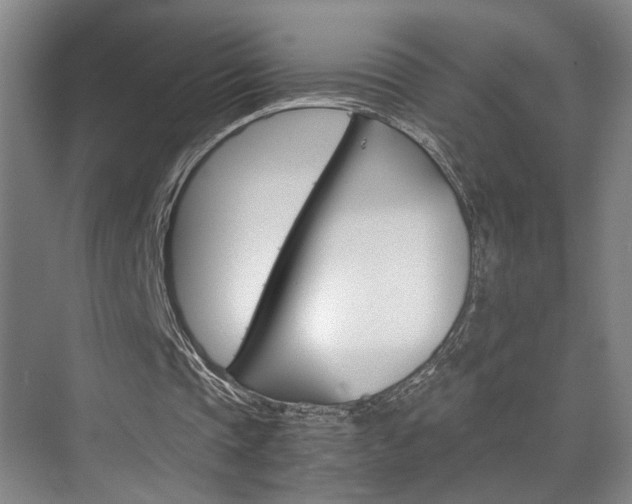 X0000075920337200609151109