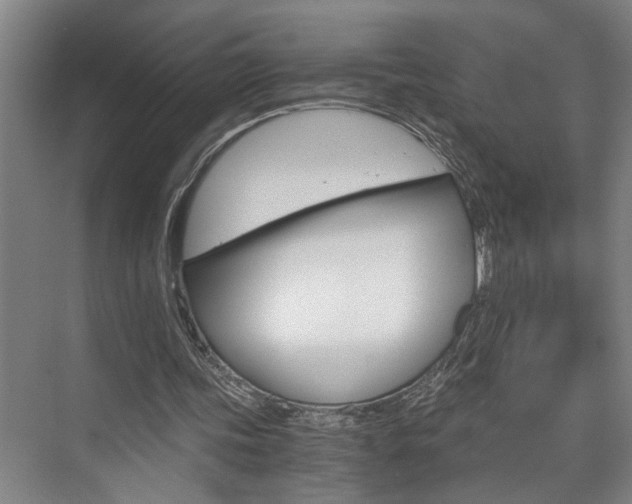 X0000075920339200609151109