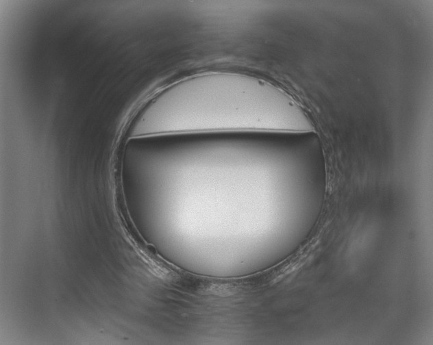 X0000075920341200609151109