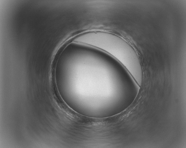 X0000075920344200609151110