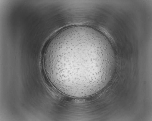 X0000075920346200609151110