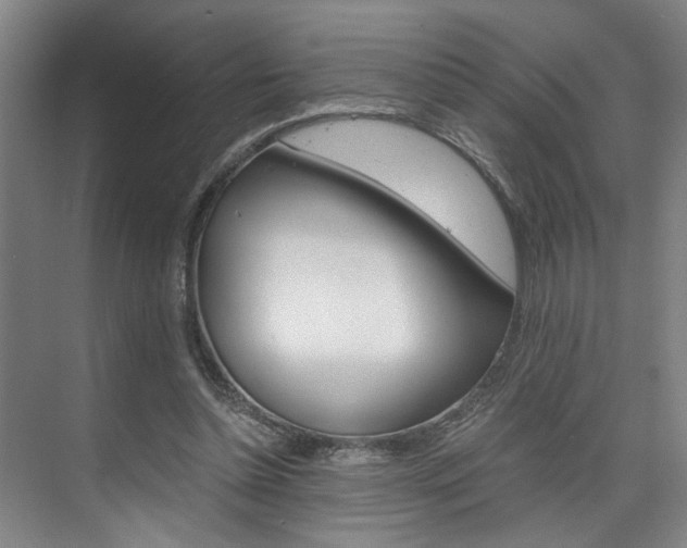 X0000075920348200609151110