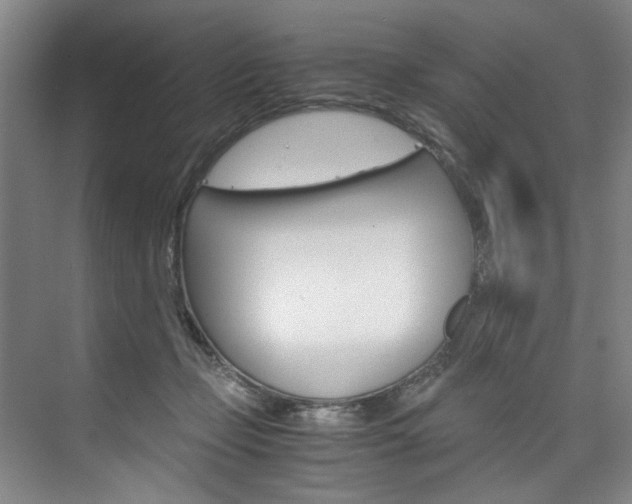 X0000075920365200609151110