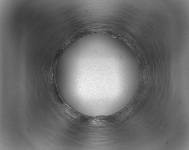 X0000075920372200609151110
