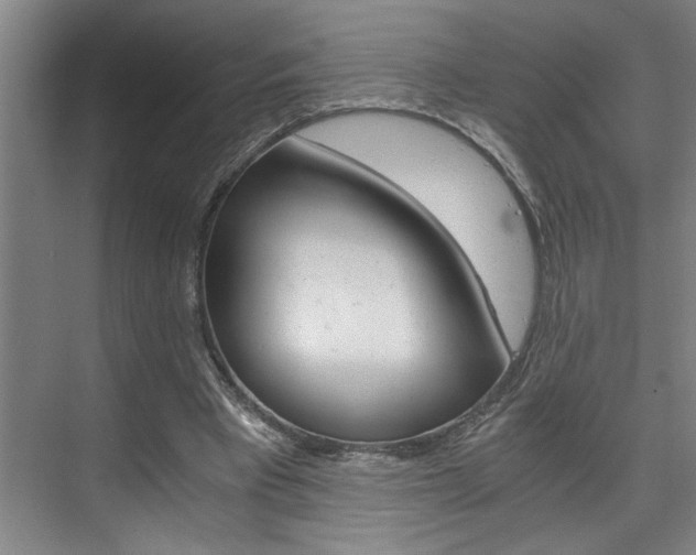 X0000075920393200609151109